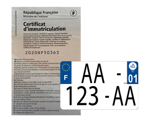 Carte grise et plaque d'immatriculation