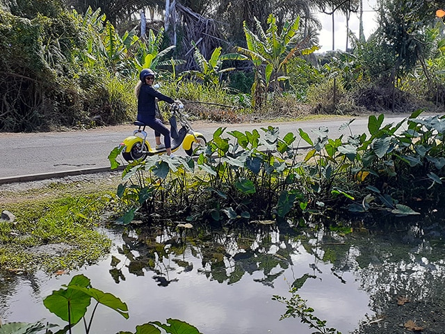 Woolib-Run : éco-tour St Paul Tour des Roches (La Réunion-