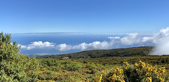Woolib-Run : Vue depuis la Gargotte