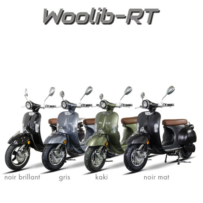 WOOLIB-RT COULEURS