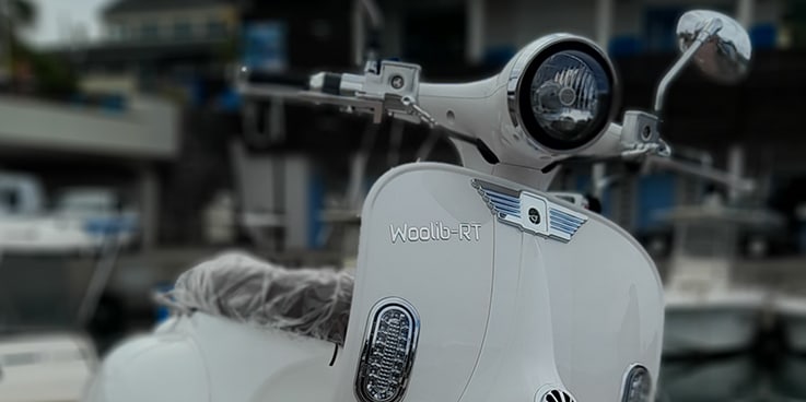 Woolib_RT_new Woolib-RT