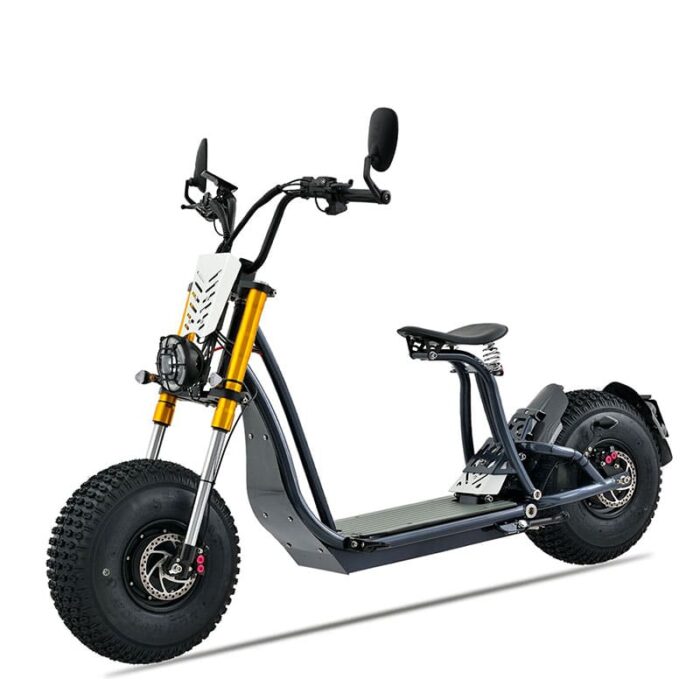 Scooter électrique Woolib E-city bleu