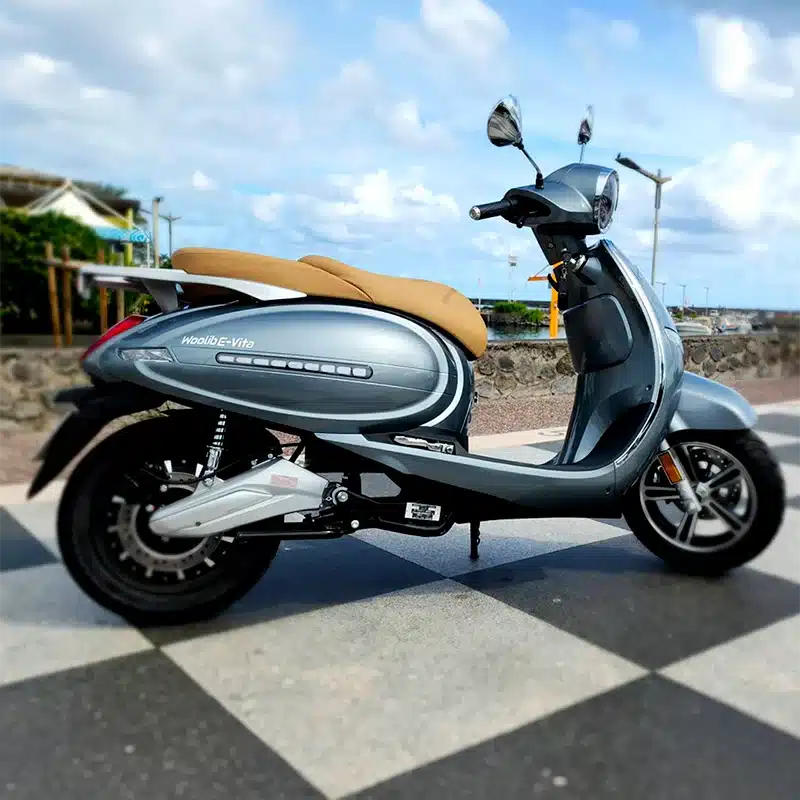 E-vita-6