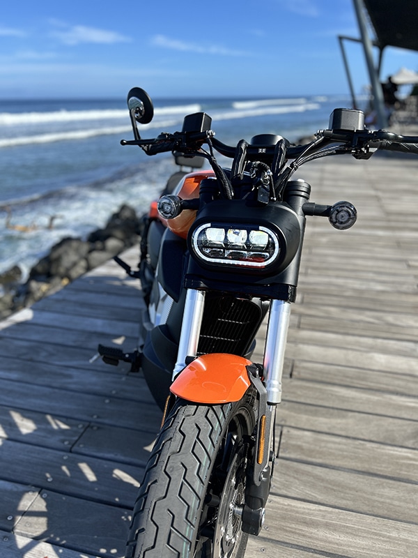 Woolib_Estar_orange_3