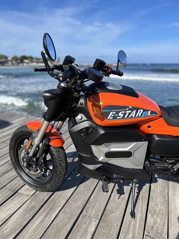 Woolib_Estar_orange_5