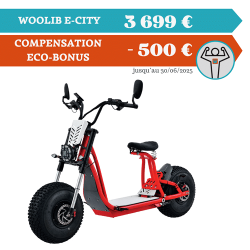 WOOLIB E-CITY