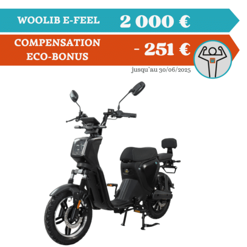 WOOLIB E-FEEL – 1000W