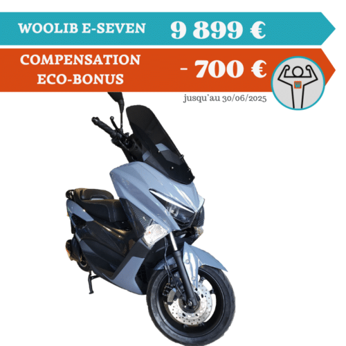 WOOLIB E-SEVEN - 7000W