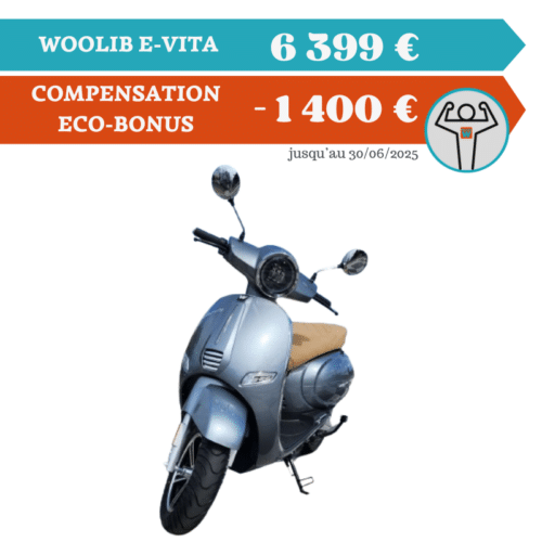 WOOLIB- E-VITA - 4000W