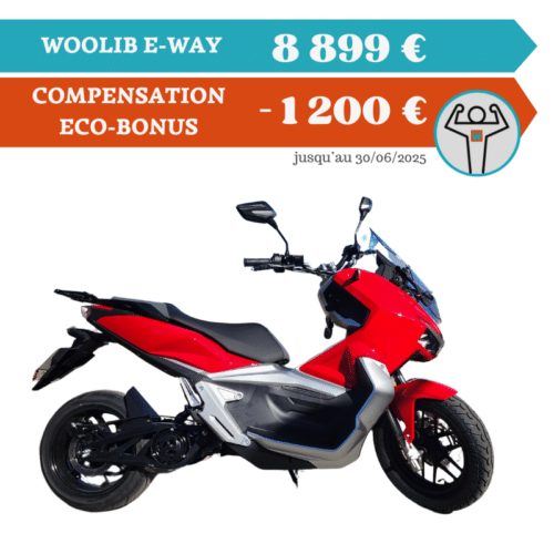 E-WAY - 11000W
