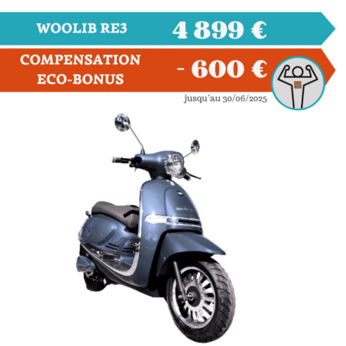 WOOLIB-RE3 – 3000W