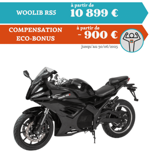 WOOLIB-RS5 – 5000W