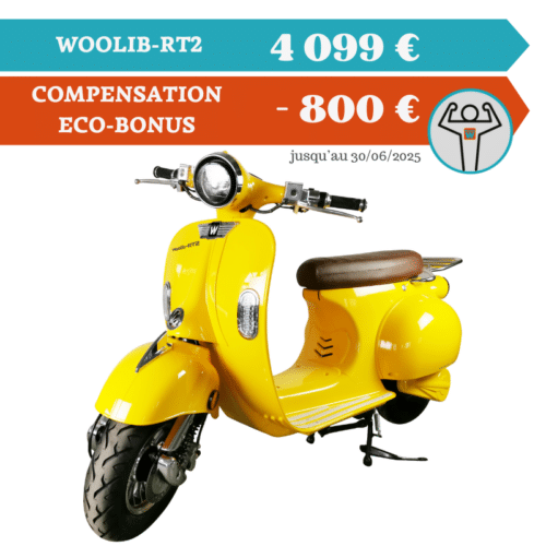 WOOLIB-RT 2 – 2000W