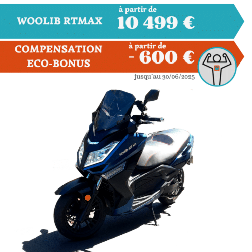 WOOLIB RTMAX – 12000W